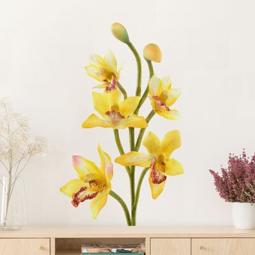 Muurstickers No.173 Orchid Yellow