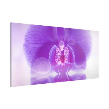 Magneetborden Purple Orchid On Water