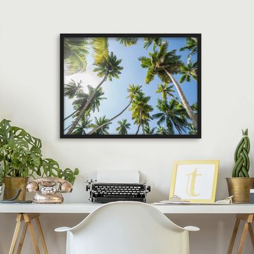 Ingelijste posters Palm Tree Canopy