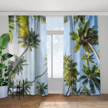 Gordijn - Palm Tree Canopy