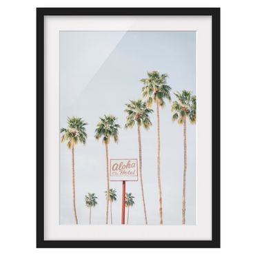Ingelijste posters - Palm trees in front of the Aloha Hotel