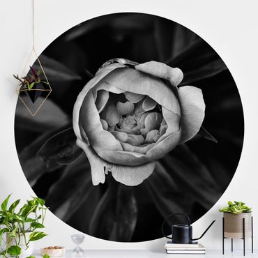 Behangcirkel Peonies Blossom In Front Of Leaves Black And White