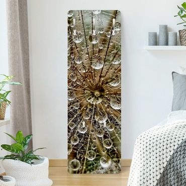 Wandkapstokken houten paneel Dandelion In Autumn
