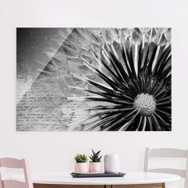 Glasschilderijen Dandelion Black & White