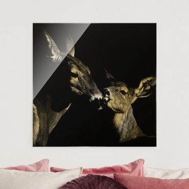 Glasschilderijen Deer On Black