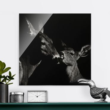 Glasschilderijen Deer On Black