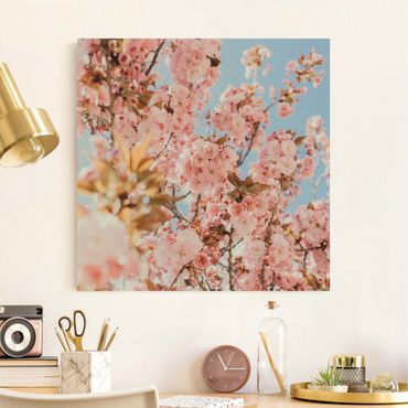 Natuurlijk canvas schilderijen Pink Cherry Blossoms Galore