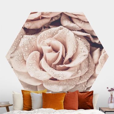 Hexagon Behang Roses Sepia With Water Drops