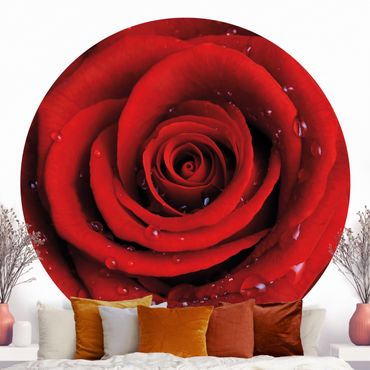 Behangcirkel Red Rose With Water Drops