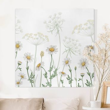 Canvas schilderijen - Achillea and daisy