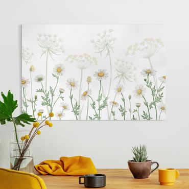 Canvas schilderijen - Achillea and daisy