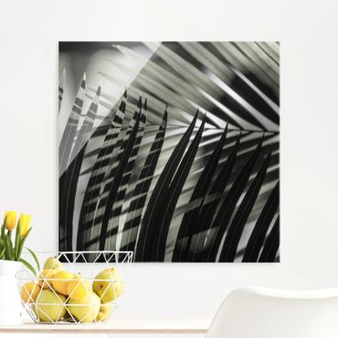 Glasschilderijen Interplay Of Shaddow And Light On Palm Fronds