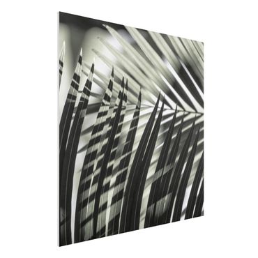 Forex schilderijen Interplay Of Shaddow And Light On Palm Fronds