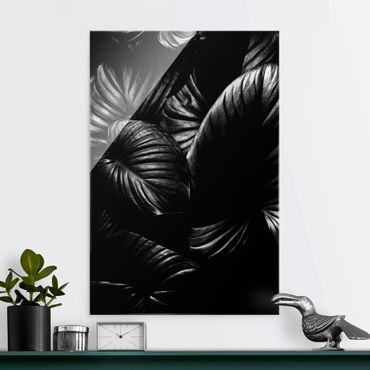 Glasschilderijen Black And White Botany Hosta