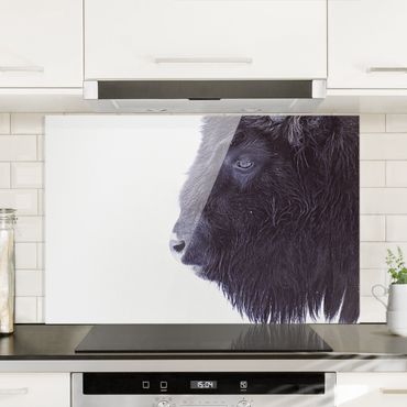 Spatscherm keuken Portrait Of A Black Buffalo