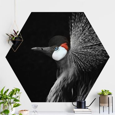 Hexagon Behang Black Crowned Crane