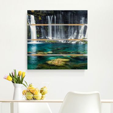 Houten schilderijen op plank Shiraito Waterfall