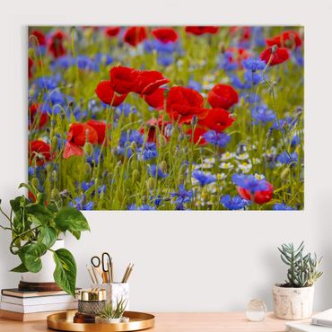 Akoestisch schilderij - Summer Meadow With Poppies And Cornflowers