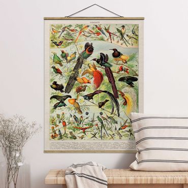 Stoffen schilderij met posterlijst Vintage Board Birds Of Paradise