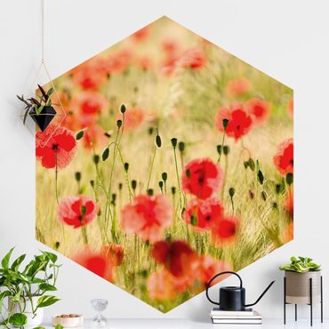 Hexagon Behang Summer Poppies