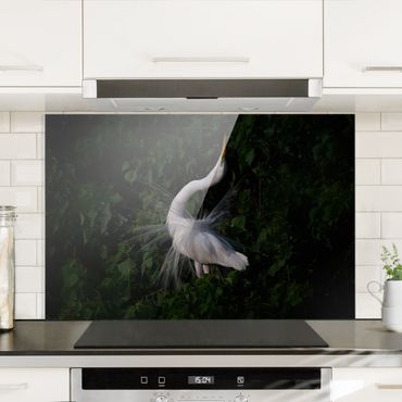 Spatscherm keuken Dancing Egrets In Front Of Black