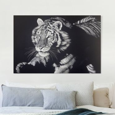 Canvas schilderijen - Tiger In The Sunlight On Black