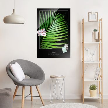 Glasschilderijen Tropical Palm Leaf