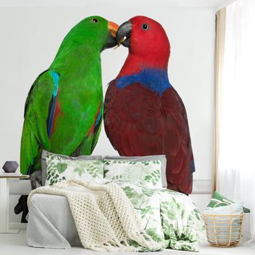 Fotobehang Parrots In Love