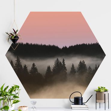 Hexagon Behang Dreamy Foggy Forest