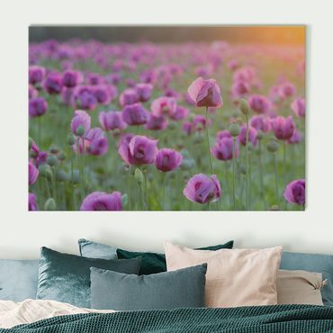 Akoestisch schilderij - Purple Poppy Flower Meadow In Spring