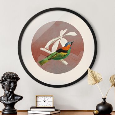 Rond schilderijen Collage di uccellini in cerchio II