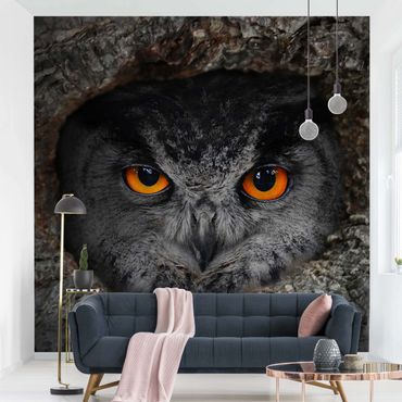 Fotobehang Watching Owl