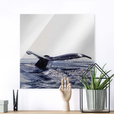 Glasschilderijen Whale Song On Iceland