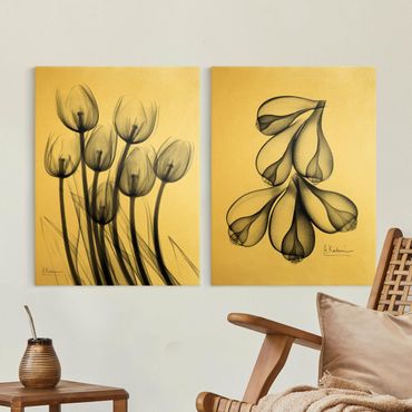 Canvas schilderijen - 2-delig  X-Ray - Tulips & Fig Shells