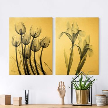 Canvas schilderijen - 2-delig  X-Ray - Tulips & Iris
