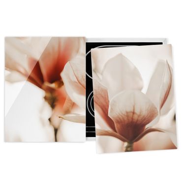 Kookplaat afdekplaten Delicate Magnolia Flowers In An Interplay Of Light And Shadows
