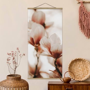 Stoffen schilderij met posterlijst Delicate Magnolia Flowers In An Interplay Of Light And Shadows