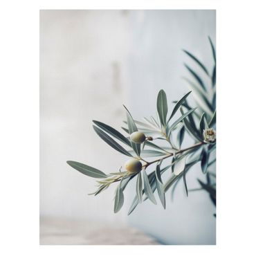 Canvas schilderijen - Delicate olive branch in blossom