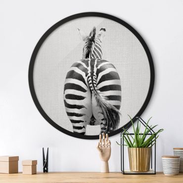 Rond schilderijen Zebra From Behind Black And White