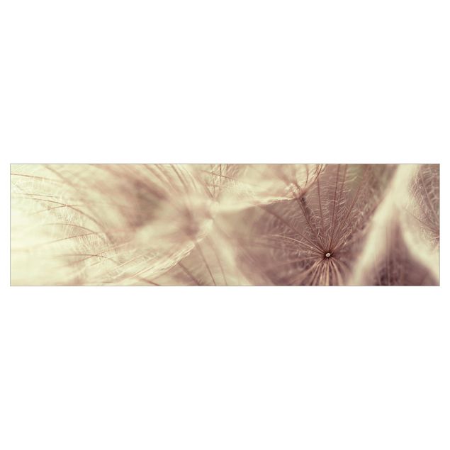 Keukenachterwanden Detailed Dandelion Macro Shot With Vintage Blur Effect