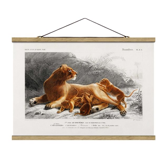 Stoffen schilderij met posterlijst Vintage Board Lioness And Lion Cubs