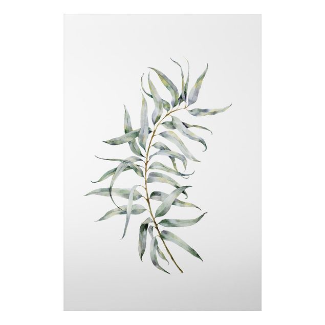 Aluminium Dibond schilderijen Waterclolour Eucalyptus lV