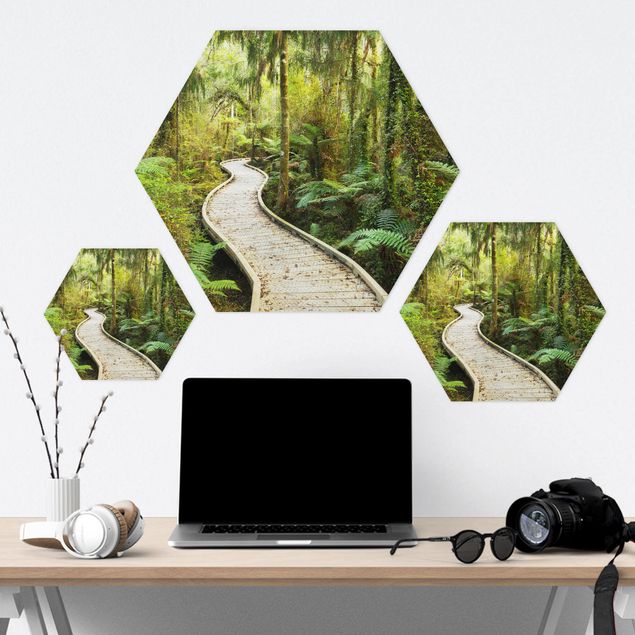 Hexagons Aluminium Dibond schilderijen Path In The Jungle