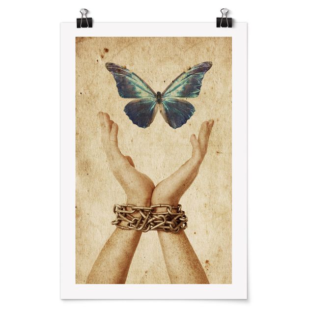 Posters Fly, Butterfly!