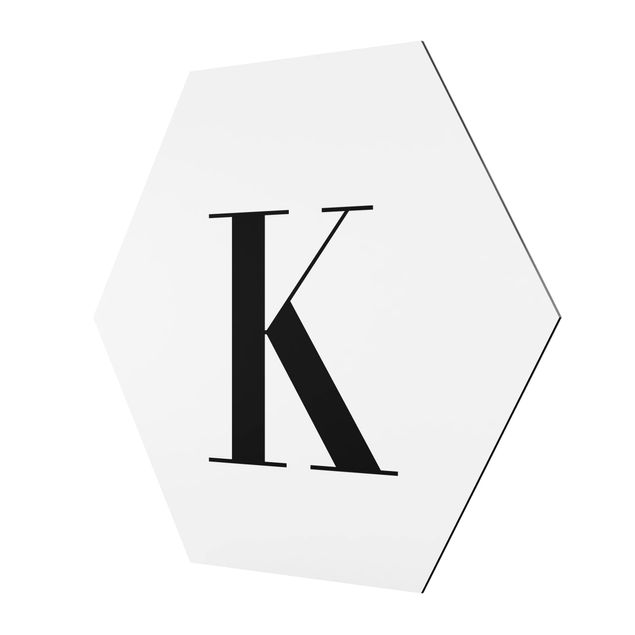Hexagons Aluminium Dibond schilderijen Letter Serif White K