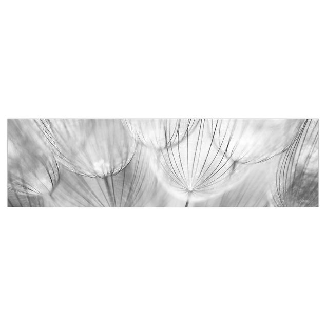Keukenachterwanden Dandelions Macro Shot In Black And White
