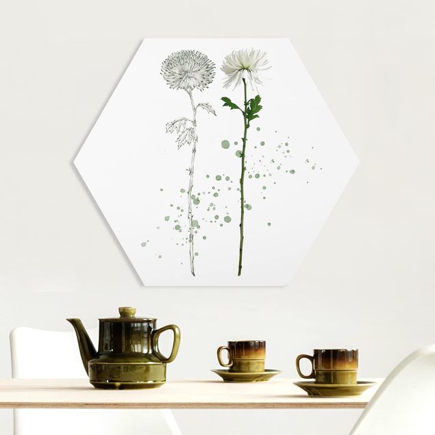 Hexagons Forex schilderijen Botanical Watercolour - Dandelion