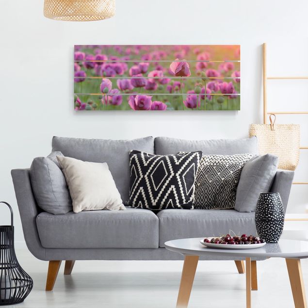 Houten schilderijen op plank Purple Poppy Flower Meadow In Spring