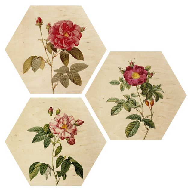 Hexagons houten schilderijen - 3-delig Pierre Joseph Redouté - Roses