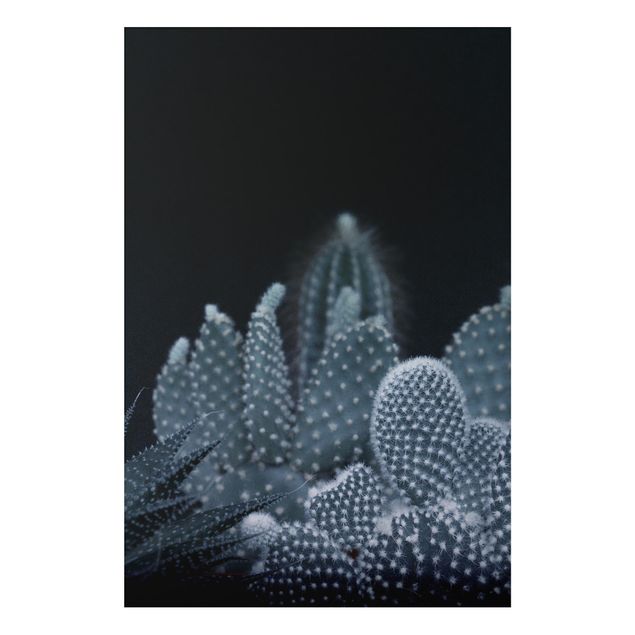 Aluminium Dibond schilderijen Familiy Of Cacti At Night